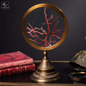 Mediteranean sea red coral