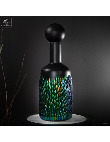 Elytres de Sternocera sur verre noir