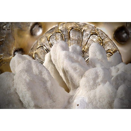 White coral extra large