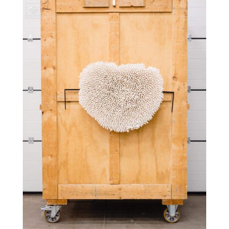 Couronne LATISTELLA diam 80cm support mural