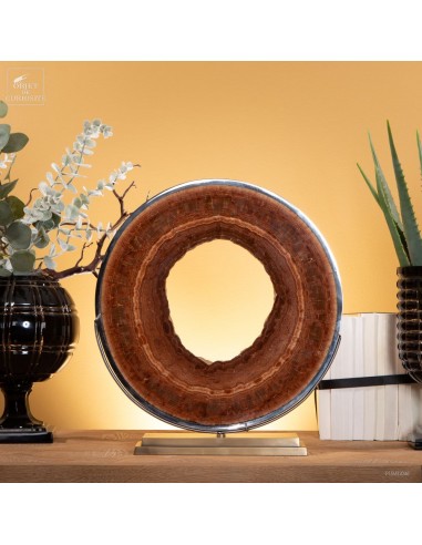 Aragonite crusted pipe XL from...