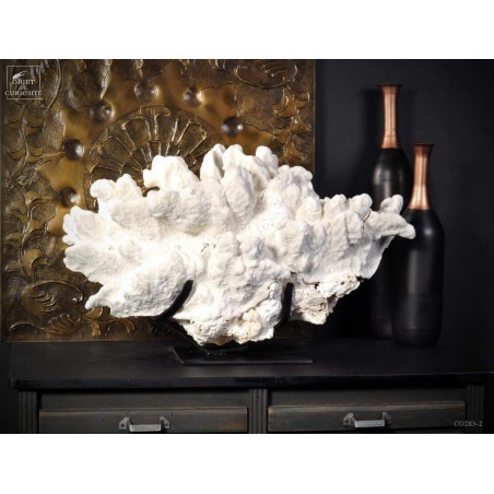 White coral extra large