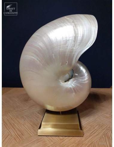 Nautile NACRE XL sur base laiton