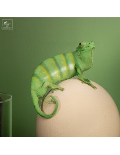 Caméléon FURCIFER PARDALIS... 2