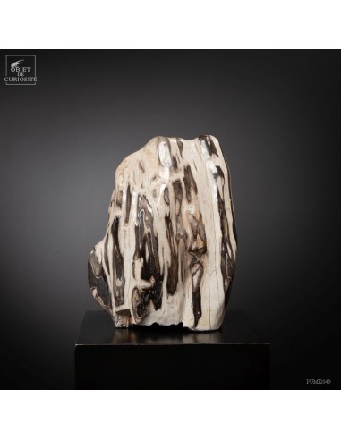 Bloc de bois fossile noir et blanc... Bloc de bois fossile noir et blanc...
