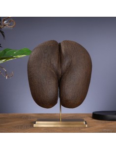 Graine de Coco fesses sur...