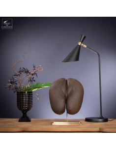 Graine de Coco fesses sur... 2