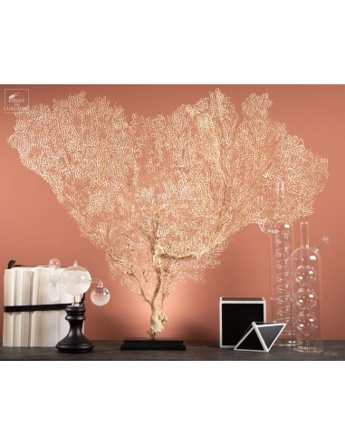 Gorgone beige sur base laiton