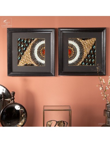 Paire de tableaux en ailes de papillons