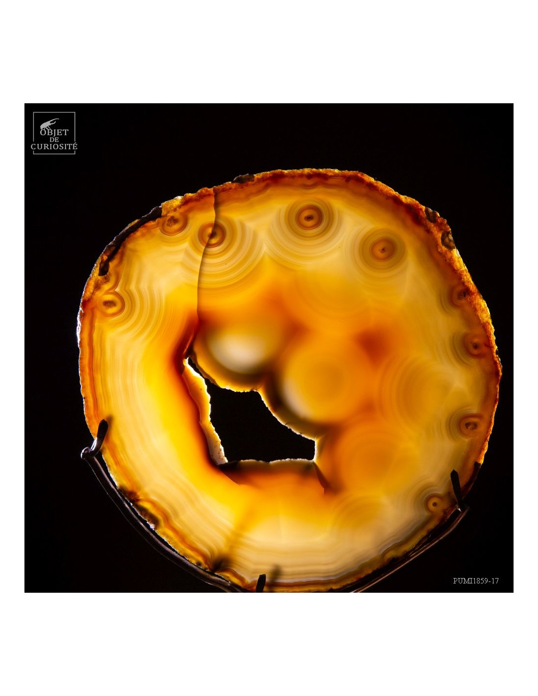 Tranche agate (Brésil) sur base laiton Tranche agate (Brésil) sur base laiton