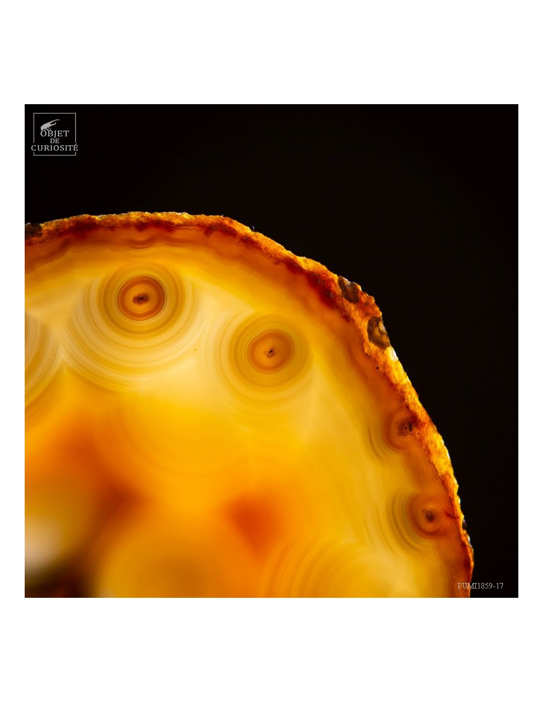 Tranche agate (Brésil) sur base laiton Tranche agate (Brésil) sur base laiton