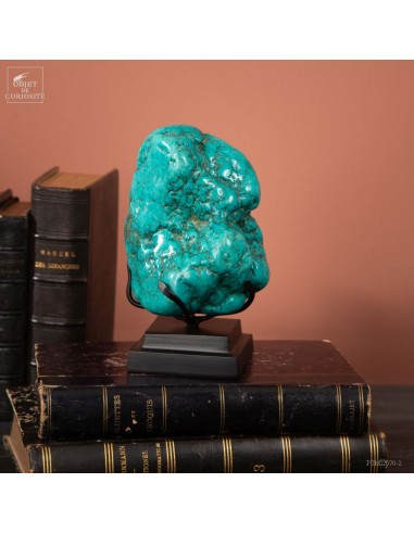 Howlite turquoise (755g) sur base noire