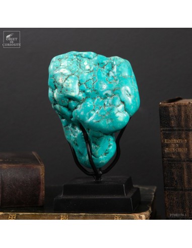 Turquoise howlite on black base