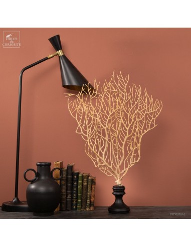 Gorgone beige à filaments sur base noire