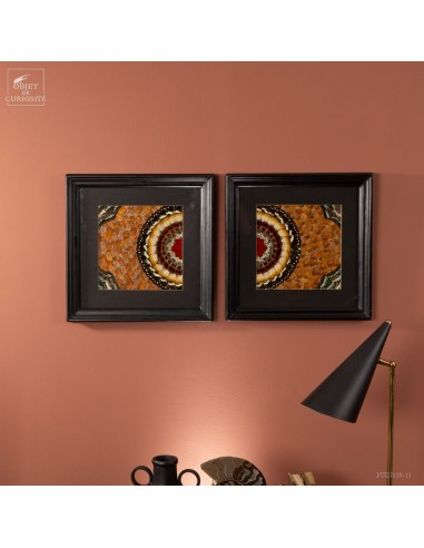 Paire de tableaux en ailes de papillons