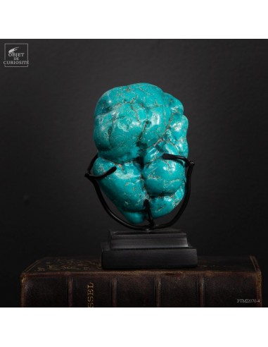 Howlite turquoise (515g) sur base noire