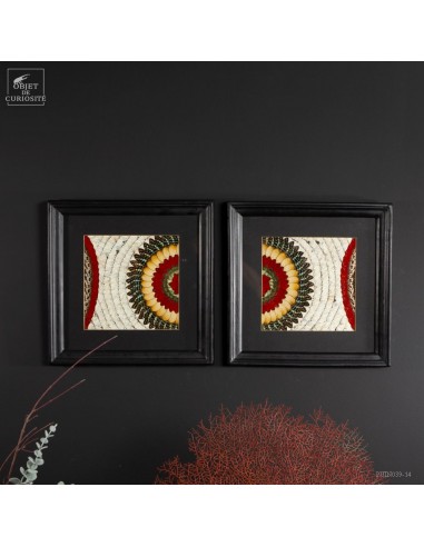 Pair of Butterfly Wing frames