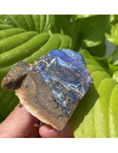 Boulder Opal (two parts) of... 2