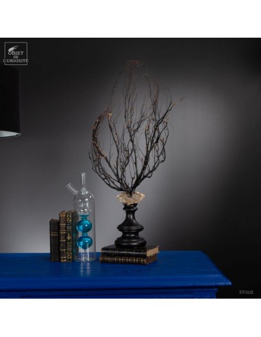 Gorgone noire  à filaments sur base...