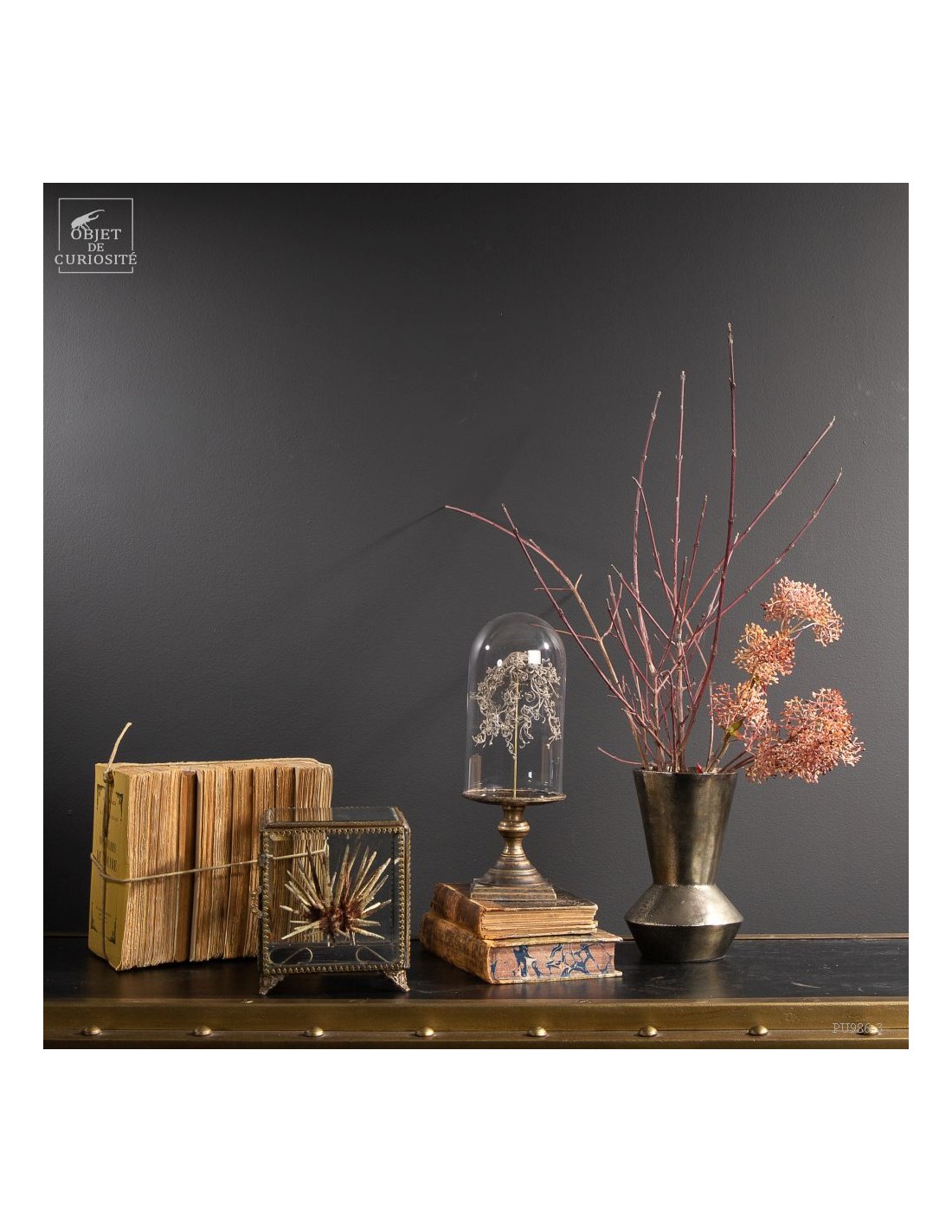 Oursin crayon fins  dans boite en... Oursin crayon fins  dans boite en...