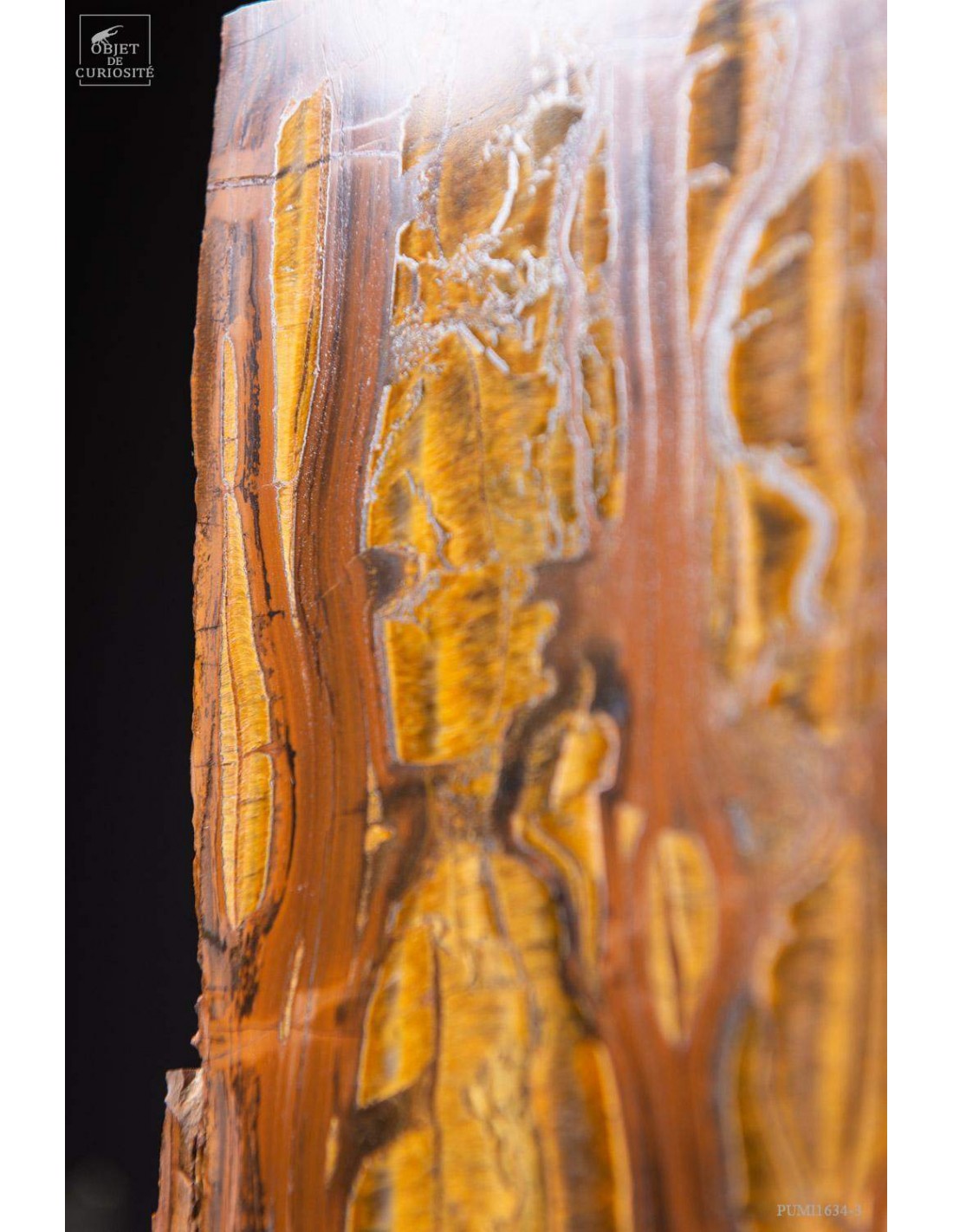 Plaque oeil de tigre GM Une face... Plaque oeil de tigre GM Une face...