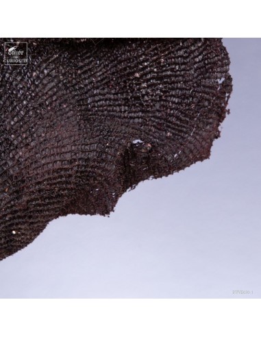 Purple fan sponge on round base