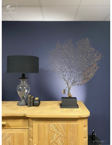 Black sea fan on rectangular base