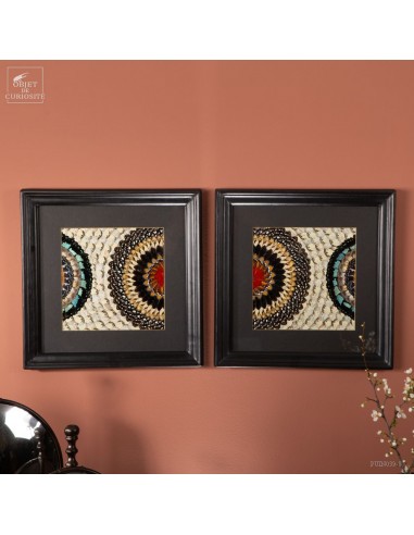 Paire de tableaux en ailes de papillons
