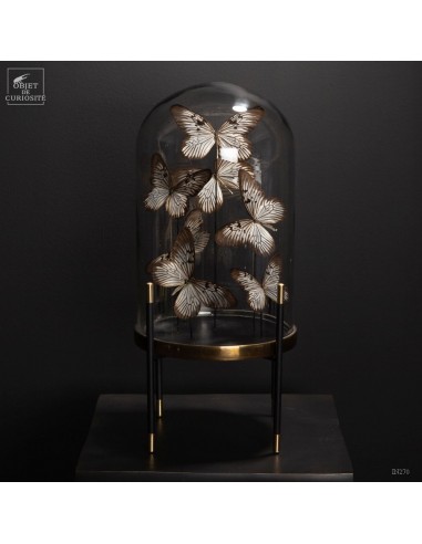 7 IDEA BLANCHARDI under high heels globe