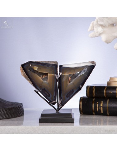 Pair of Geometrical agate