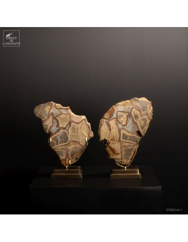 Paire de septaria (3.6kg) de Madagascar