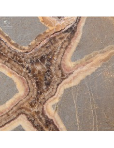 Septaria from Madagascar 2