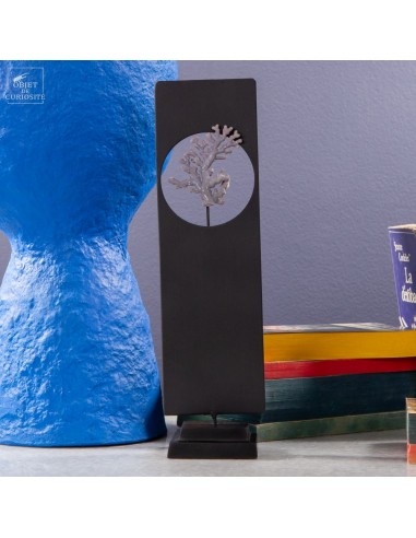 Corail violine de Madagascar... Corail violine de Madagascar...