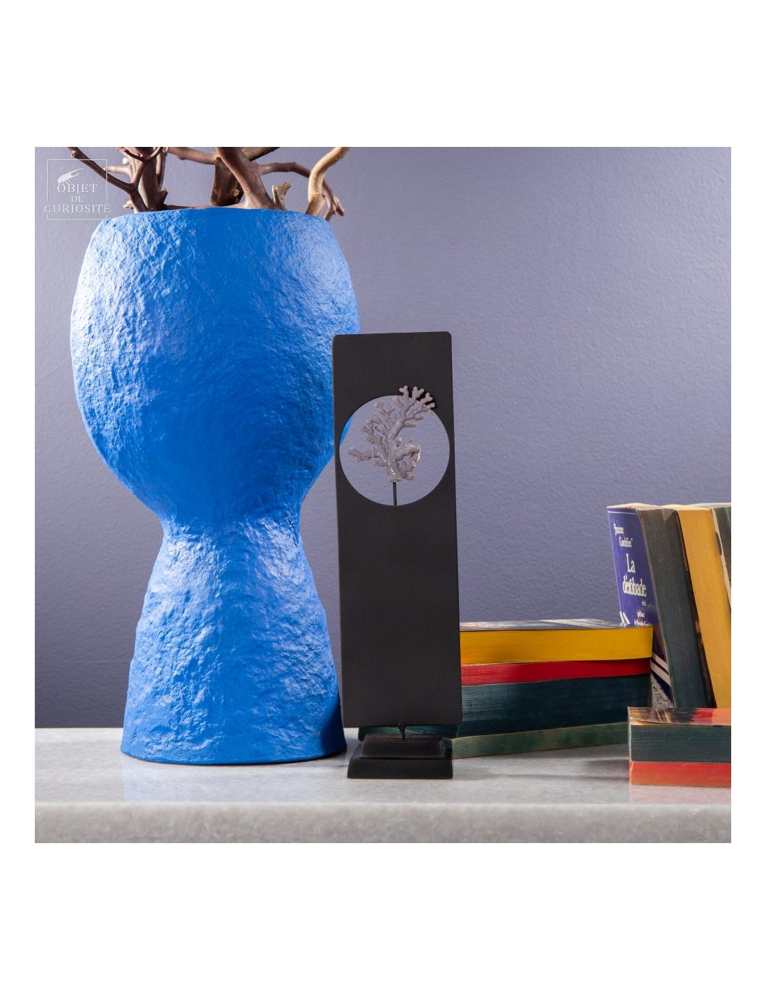 Corail violine de Madagascar... Corail violine de Madagascar...