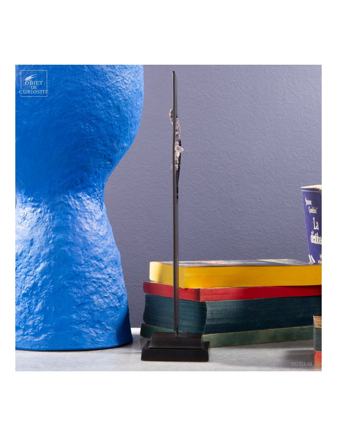 Corail violine de Madagascar... Corail violine de Madagascar...