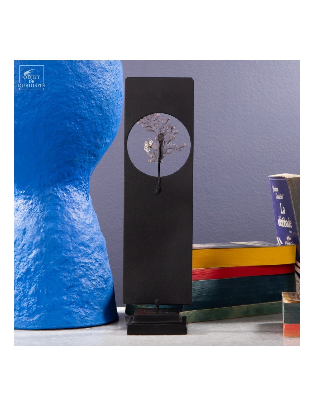 Corail violine de Madagascar... Corail violine de Madagascar...