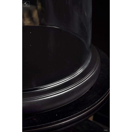 Glass globe TGM
