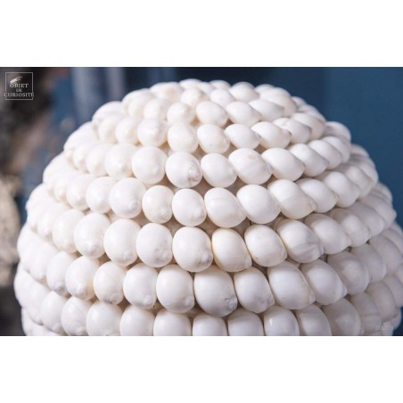 Moon snails ball- on black base (Large)