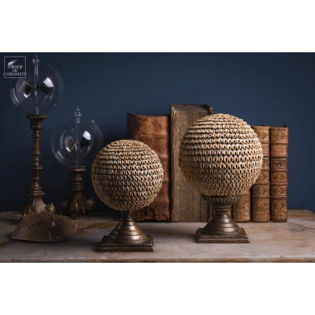Nassarius shell ball on brass stand L