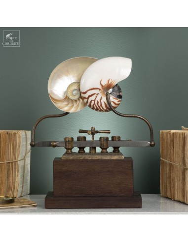 Nautilus shell on sliding machine