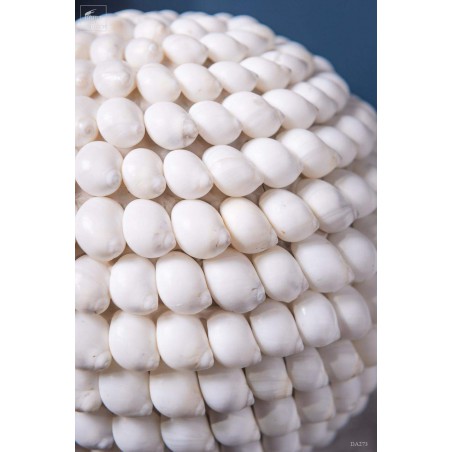 Moon snails ball- on black base (Large)