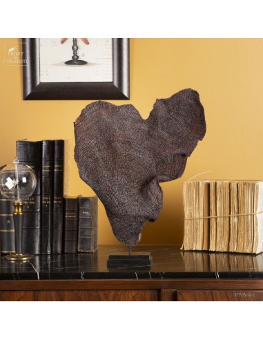 Eponge éventail violette sur base noire