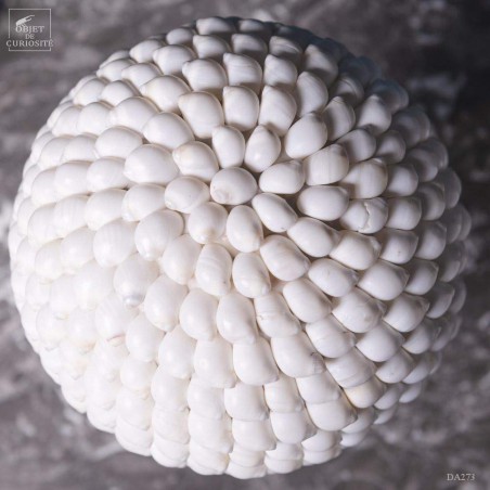 Moon snails ball- on black base (Large)