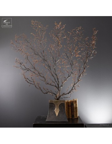 Spicky black sea fan