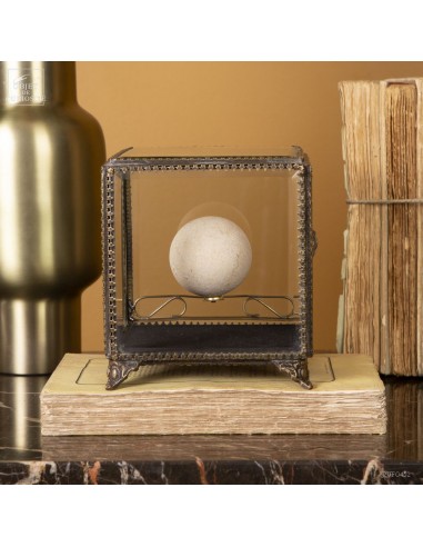 Œuf fossile de tortue géante de...