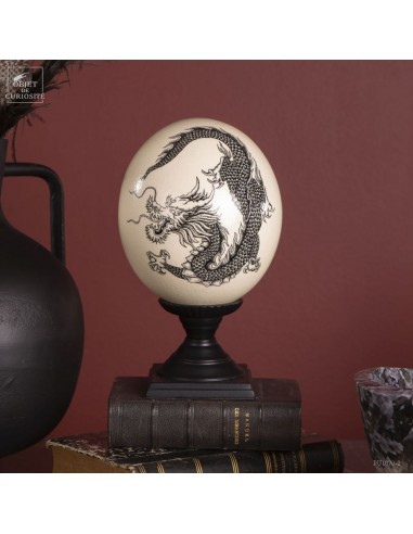 Dragon, ink drawing on ostrich egg