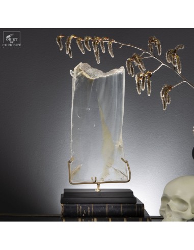 Gypsum from France, on black base...