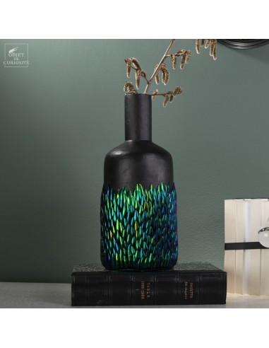 Elytres de Sternocera sur verre noir Elytres de Sternocera sur verre noir