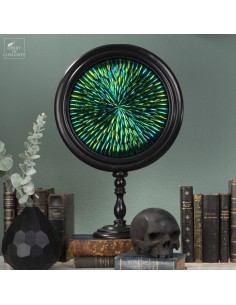 Oval frame of Elytra of...