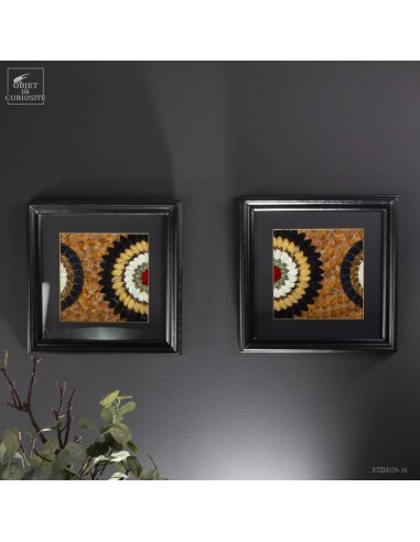 Pair of Butterfly Wing frames